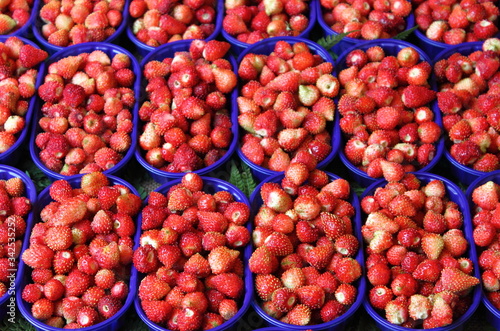 Fresh wild strawberries