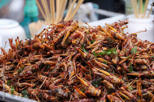 Grasshopper dish to eat on a street in Bangkok