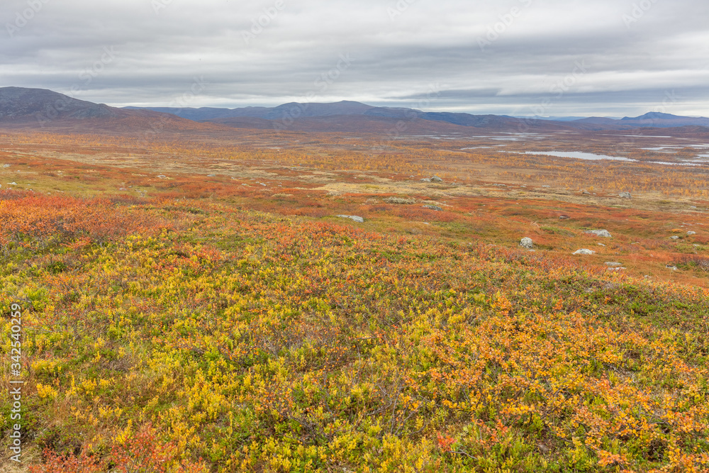 View to Sarek National Park in autumn, Sweden, selective focus View to Sarek National Park in autumn, Sweden, selective focus