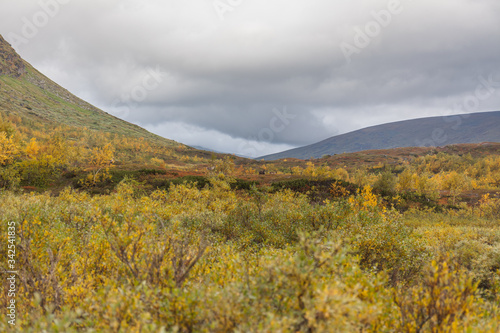 Sarek National Park in northern Sweden in autumn, selective focus