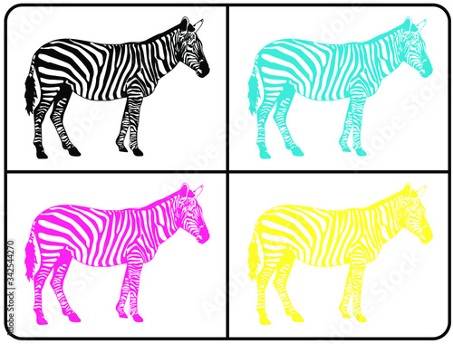 set of zebra