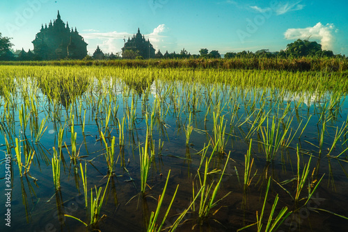 Plaosan temple near from Pramabanan Temple 