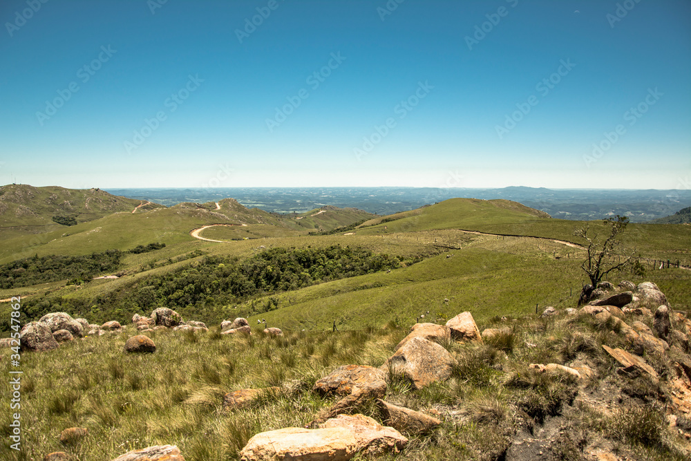 sheep in the mountains