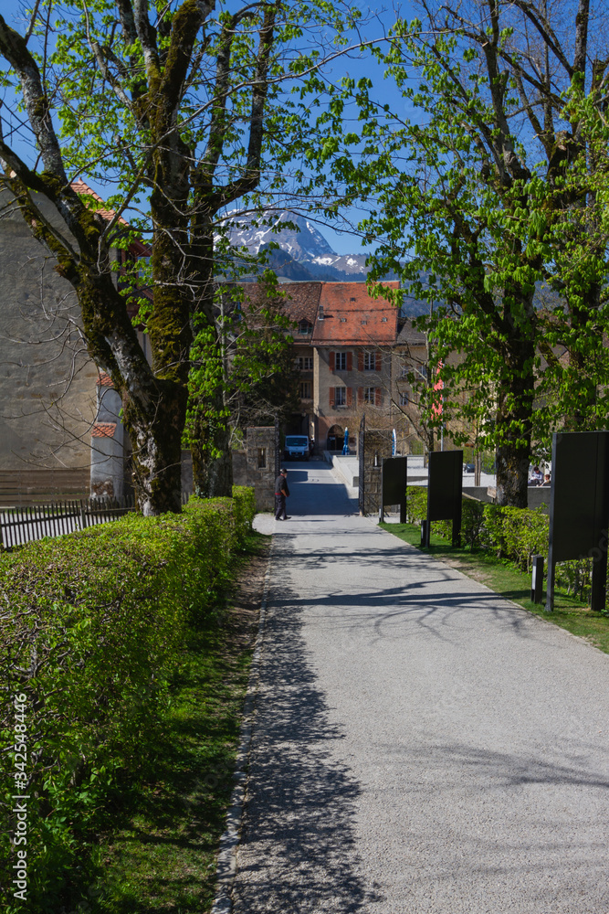 Gruyeree castle environment is switzerland at summer