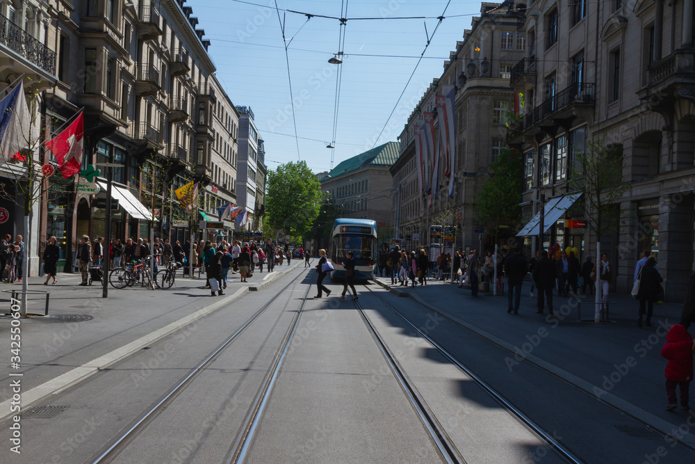 Obraz premium Swiss environment at summer.