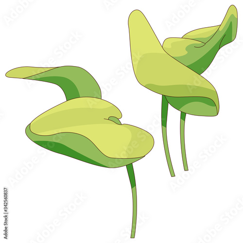 Water plant sticker set on white isolated backdrop. Waterlily for invitation or gift card, scrapbook, notebook sticker, bath tile. Phone case or cloth print art. Drawn style stock vector illustration
