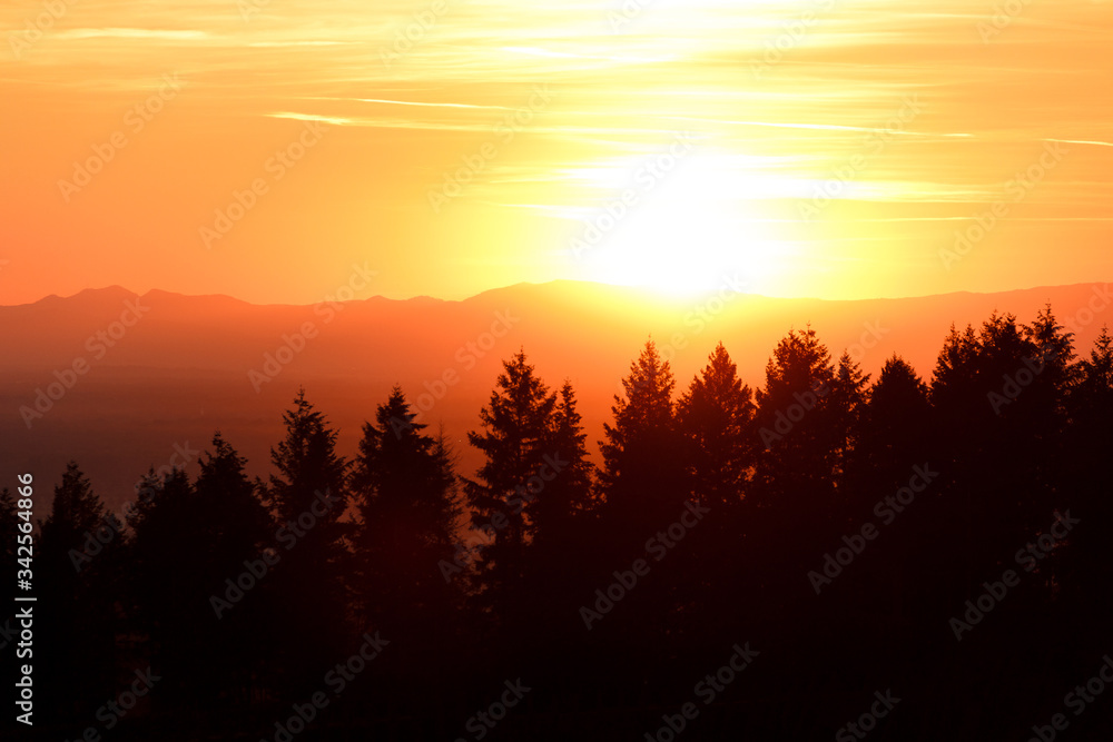 beautiful sunset over the alsace forest mountains.