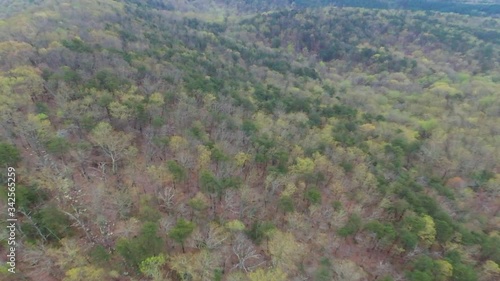 Flying forward over wildernes