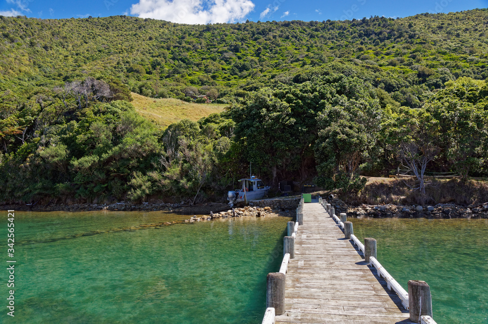 Arriving at the boat jetty on Maud Island, Marlborough Sounds, New Zealand.