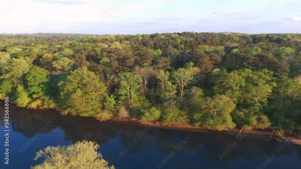 Camera rise above trees see River Camera rise above trees see River