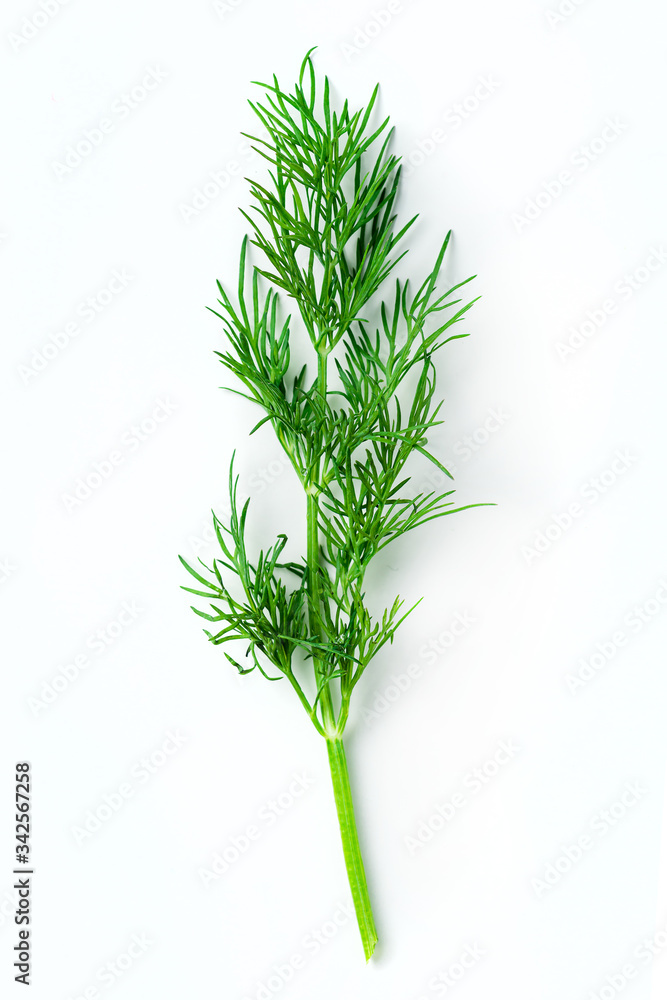 Obraz premium fresh dill on white background
