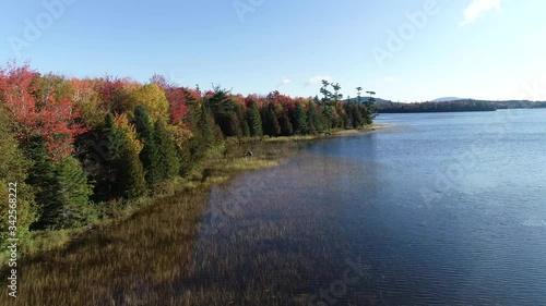 New England fall foliage drone 4K