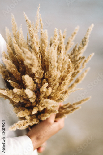 Yellow tall grass in the hands of a girl