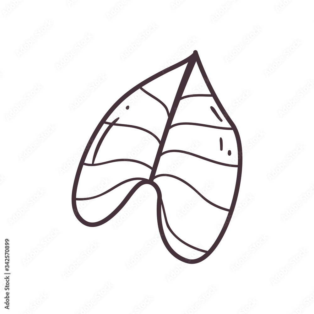 Isolated leaf line style icon vector design Isolated leaf line style icon vector design