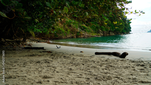 Beach landscape