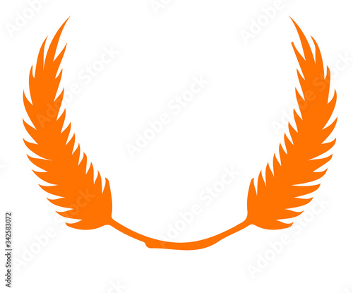 wings