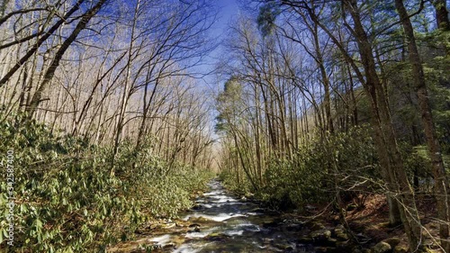 River flowing down a mountain in the woods