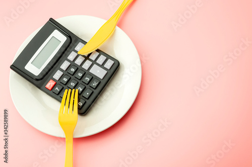 Obraz na plátně Calculate expensive food spending costs, counting calories and weight loss progr