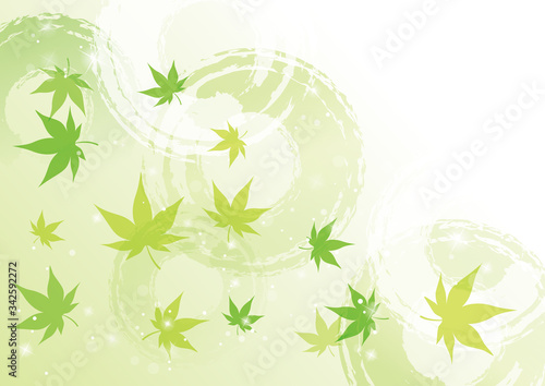 青紅葉　波紋　背景