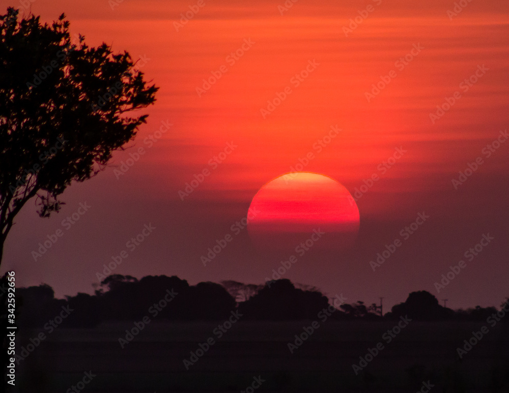 Obraz premium Sunset