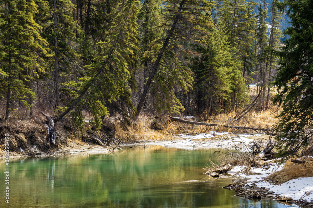 fairmont creek in canadian rocky mountains spring Regional District of East Kootenay. fairmont creek in canadian rocky mountains spring Regional District of East Kootenay.