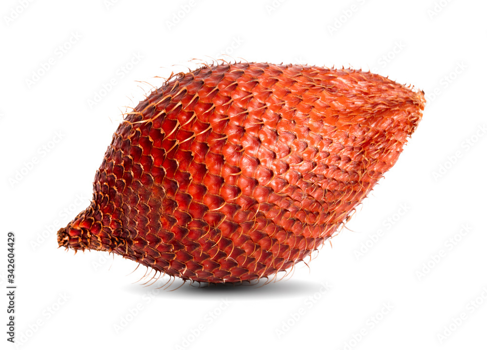 Salak isolated on white background. Salak (Salacca zalacca) or Snake