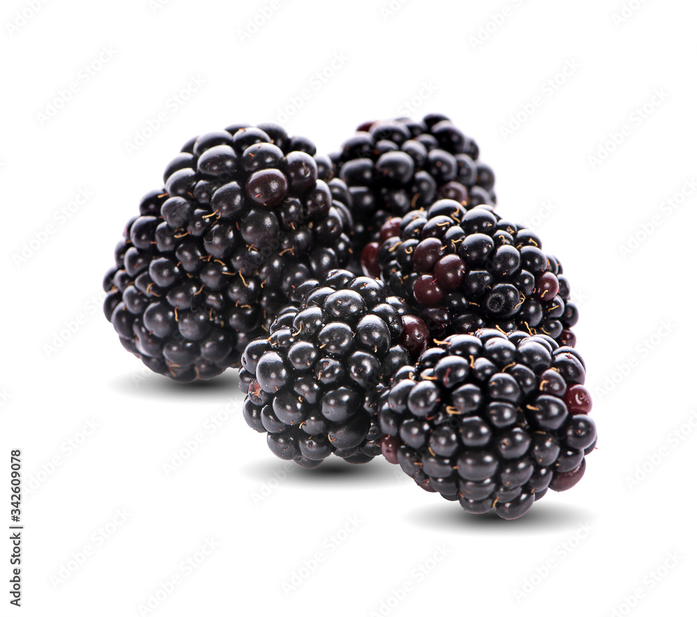blackberries. Isolated on white background blackberries. Isolated on white background