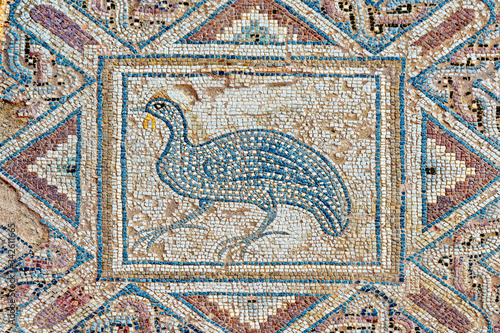 Partridge mosaic in the house of Eustolios (4th century), the ancient city of Kourion, near Limassol, Episkopi, Cyprus