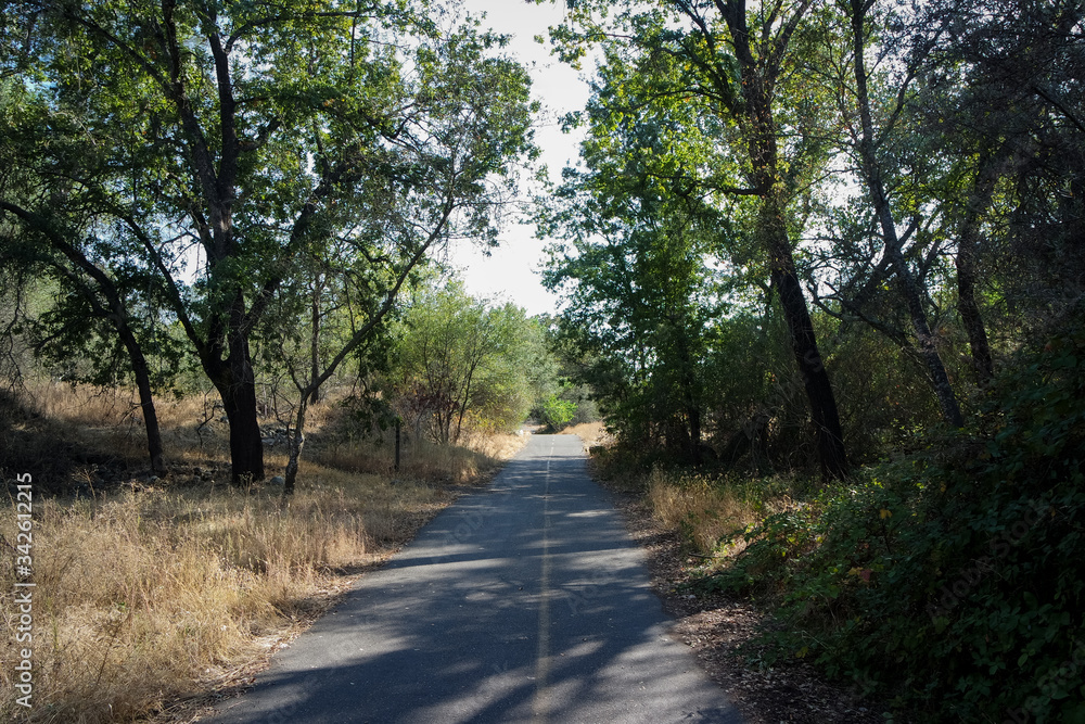 Obraz premium 맑은 날 평화로운 트레킹 길