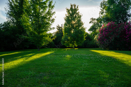 Natural background with green lawn