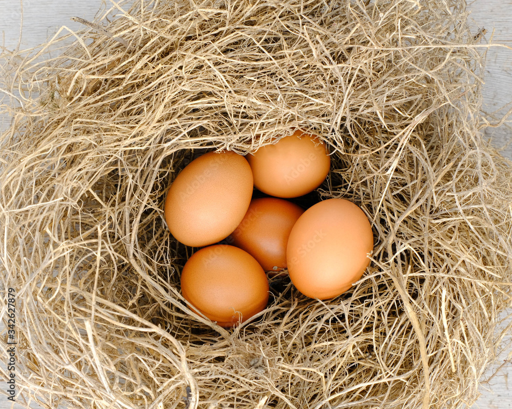 nest with raw chicken eggs on wooden background
nest with raw chicken eggs on wooden background