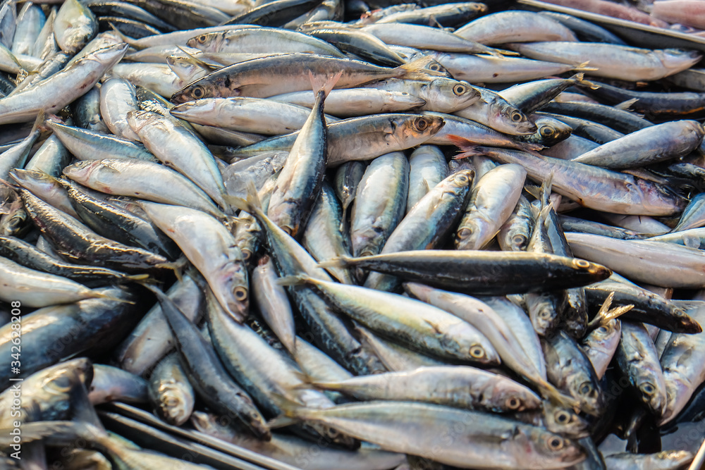 Bundle of tuna sea fish sell in fresh market
