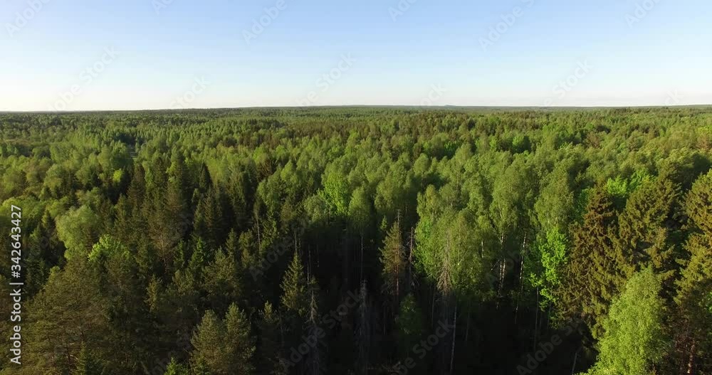 4K aerial bright summer day high quality video footage of lush bright green panoramic woods and pristine forest river in rural countryside in Yaroslavl region of Russia 4K aerial bright summer day high quality video footage of lush bright green panoramic woods and pristine forest river in rural countryside in Yaroslavl region of Russia