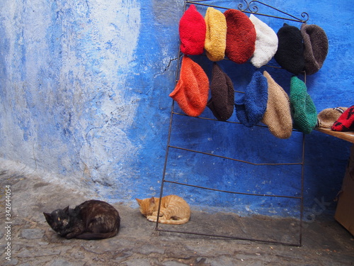 A cat taking a break in front of a souvenir shop, Chaouen (Chefchaouen), Morocco © Mithrax