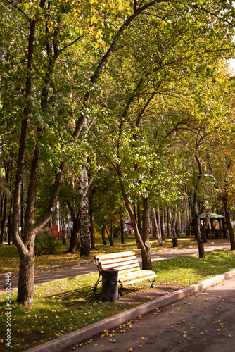 bench in the park