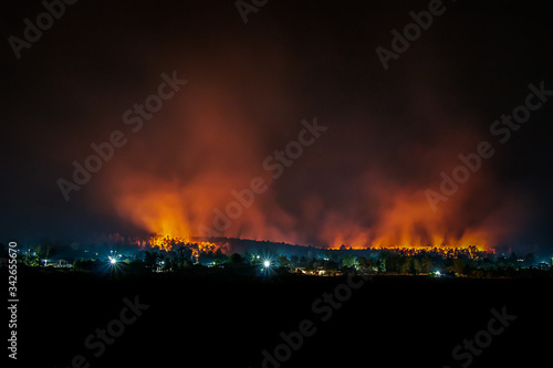 fire in the forest