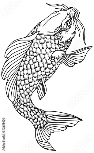 koi carp fish swimming up. Outline Tattoo. Isolated vector illustration
