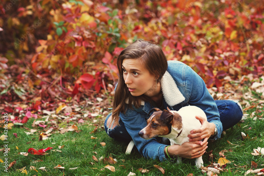 Fototapeta premium Dog and owner walk autumn park. Purebred Jack Russel Terrier dog outdoors in nature on grass on autumn day. Playful mood. Funny expressive leisure time. Breeder and his pet at training. Pets friends.