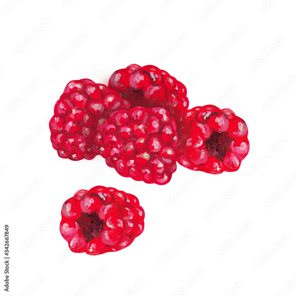 Fresh raspberries ona white background. Hand drawing. Fresh raspberries ona white background. Hand drawing.