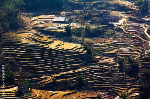 Wallpaper Mural Water on terraces at Muong Hoa valley, Sapa, Lao Cai, Vietnam same world heritage Ifugao rice terraces in Batad, northern Luzon, Philippines. Torontodigital.ca