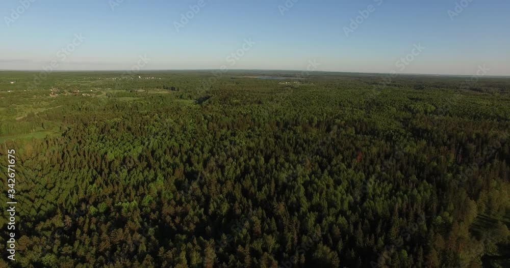 4K aerial bright summer day high quality video footage of lush bright green panoramic woods and pristine forest river in rural countryside in Yaroslavl region of Russia 4K aerial bright summer day high quality video footage of lush bright green panoramic woods and pristine forest river in rural countryside in Yaroslavl region of Russia