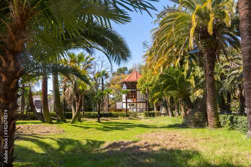 A Park with palm trees and a Villa in the subtropics. © Valery