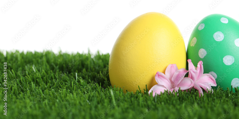 Colorful Easter eggs and flowers on green grass against white background, closeup