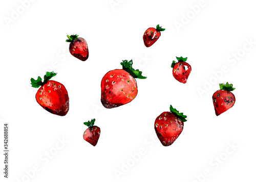 watercolor illustration of isolated fruitred strawberries for background, for pattern photo