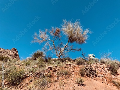 Dry desert landscape