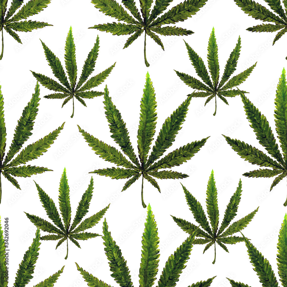 Seamless pattern with hemp leaves. Cannabis. Botanical ornament. Design for fabric, clothing, packaging. Seamless pattern with hemp leaves. Cannabis. Botanical ornament. Design for fabric, clothing, packaging.