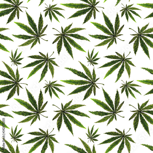 Seamless pattern with hemp leaves. Cannabis. Botanical ornament. Design for fabric  clothing  packaging.