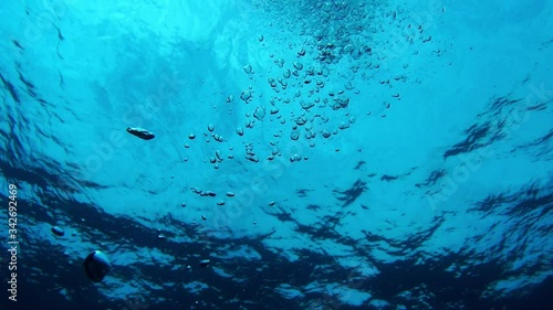 海の中を上っていく泡　スロースローモーション