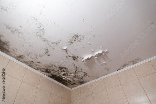 Black mold and mildew spots on the ceiling or wall due to poor air ventilation and high humidity. Harm to health. photo