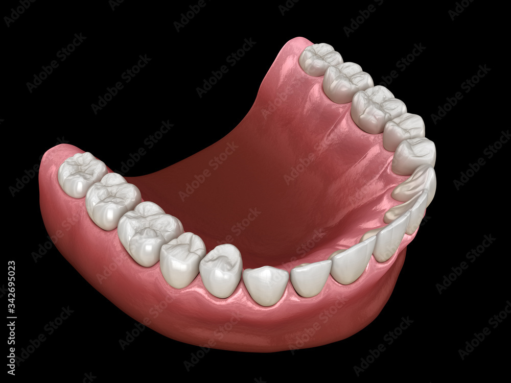 U-shape ovoid arch form of maxilla. Medically accurate tooth 3D illustration U-shape ovoid arch form of maxilla. Medically accurate tooth 3D illustration